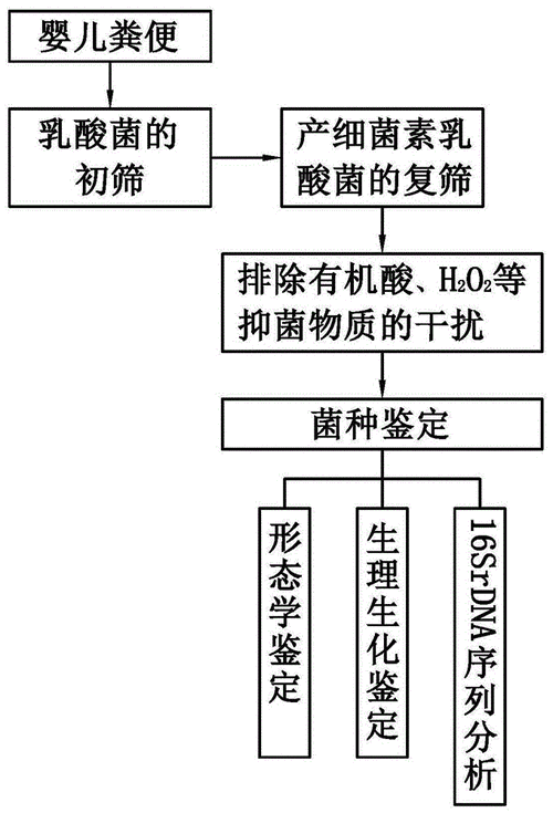 野生菌栽培技术?怎样取菌种野生菌种的采集野生菌采集办法出台