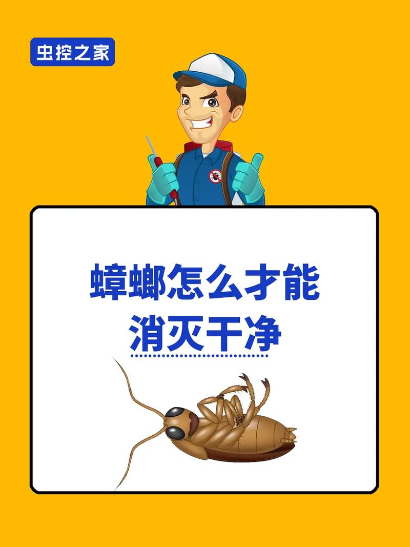 蟑螂为什么怕晒太阳广东蟑螂会飞吗我前几天把蟑螂带回家了，怎么办 汽车3