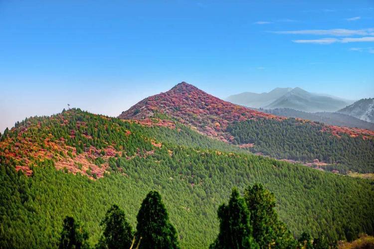 0631是山东哪个地区济南濒危办济南的三山不见?是哪三山 最新汽车发布